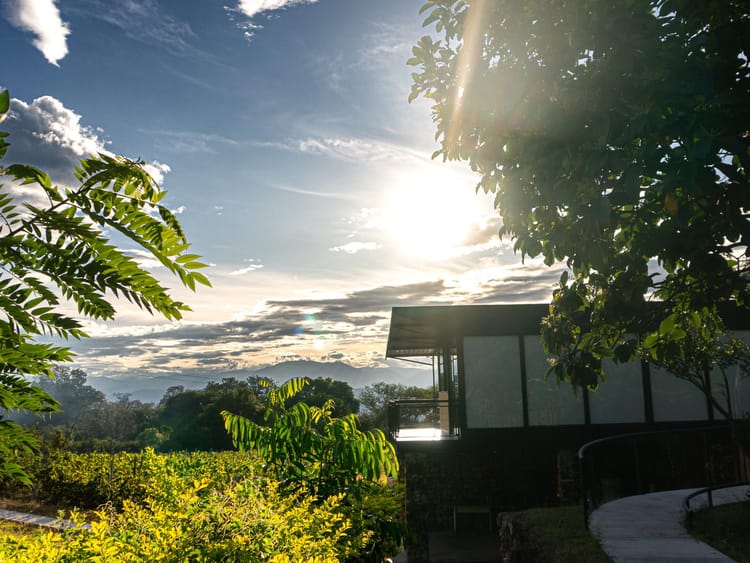 Atardecer en Finca Termópilas con vista a las montañas de Rivera