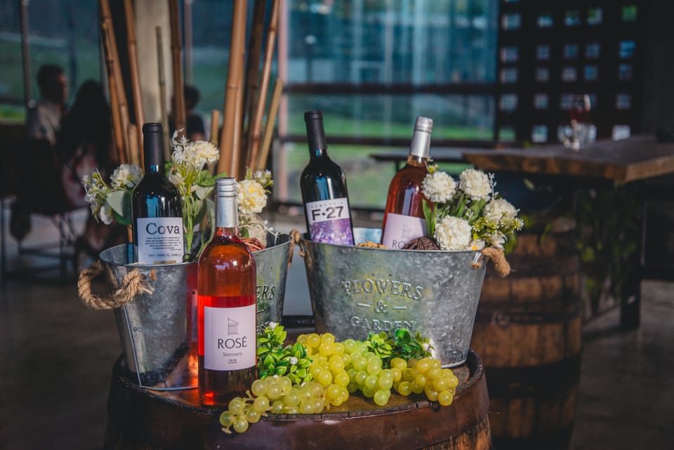 El proceso de elaboración de nuestro vino artesanal